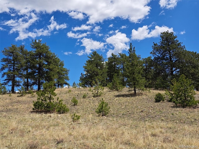 744 Julia Rd, Guffey, CO 80820