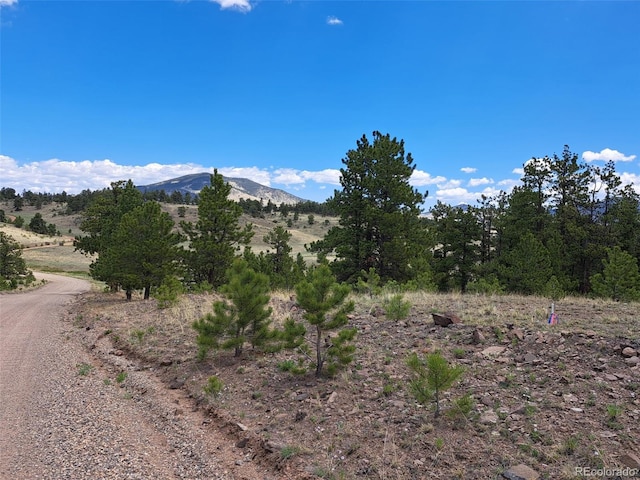 744 Julia Rd, Guffey, CO 80820