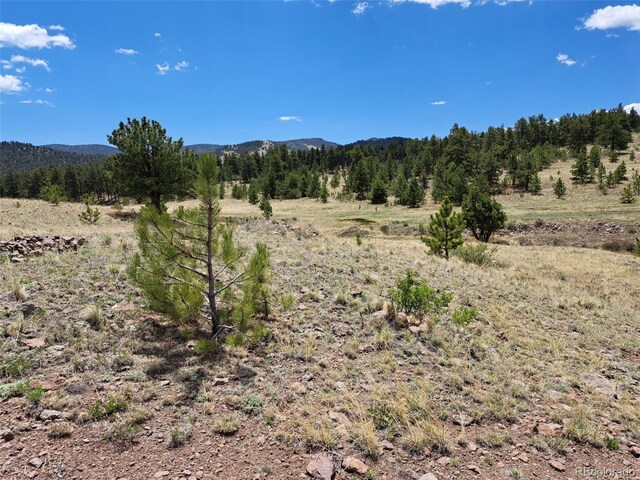 744 Julia Rd, Guffey, CO 80820
