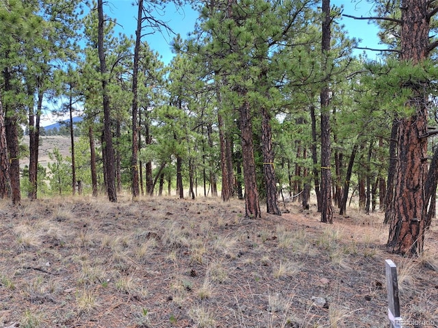 744 Julia Rd, Guffey, CO 80820