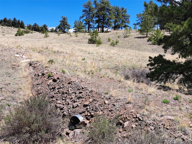 744 Julia Rd, Guffey, CO 80820