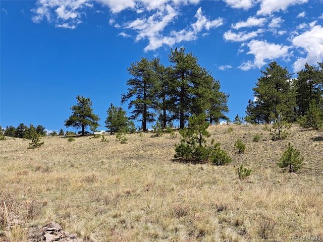 744 Julia Rd, Guffey, CO 80820