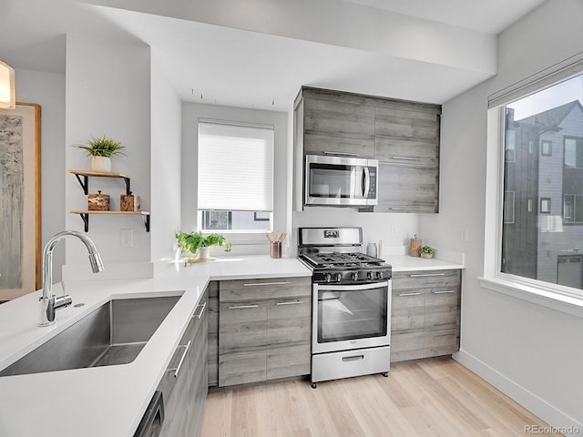 kitchen with light wood finished floors, open shelves, a sink, gray cabinetry, and stainless steel appliances