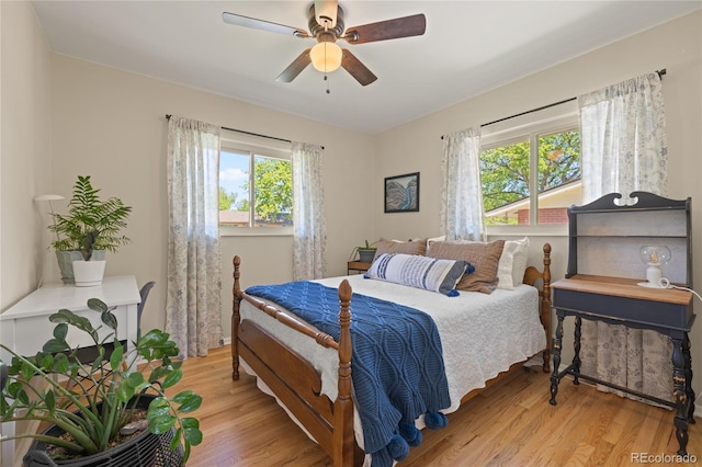 13402 W 24th Pl, Golden, CO 80401 - bedroom featuring multiple windows, light wood-style floors, and a ceiling fan