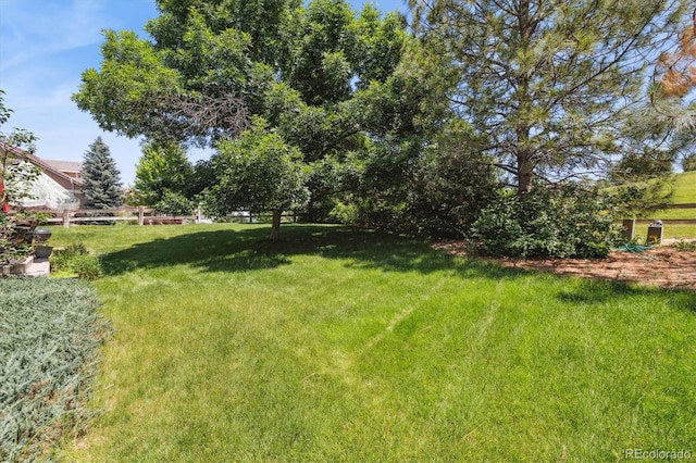 17298 E Lake Pl, Aurora, CO 80016 - view of yard