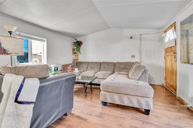 8430 Madison Way, Denver, CO 80229 - living room featuring lofted ceiling, healthy amount of natural light, and wood finished floors