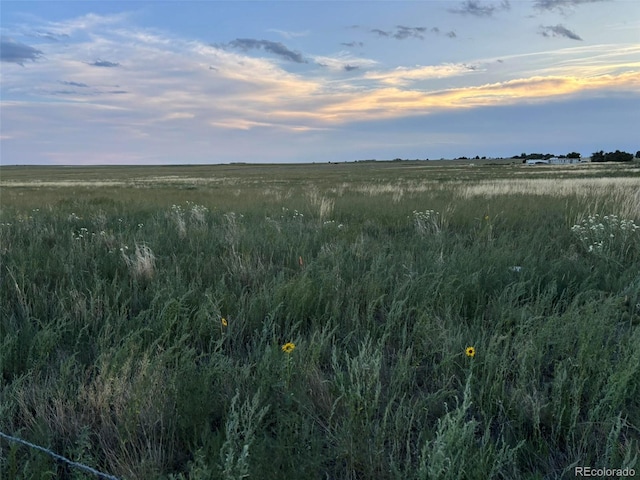 40655 Truckton Rd, Rush, CO 80833 - photo 6