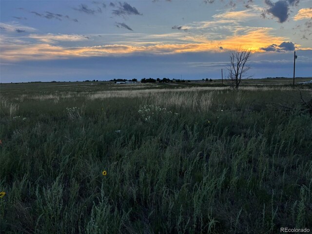 40655 Truckton Rd, Rush, CO 80833 - photo 12