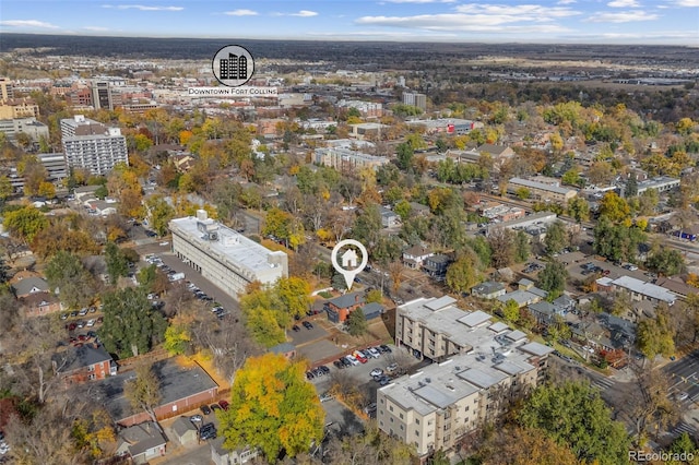 629 S Howes St, Fort Collins, CO 80521 - photo 4