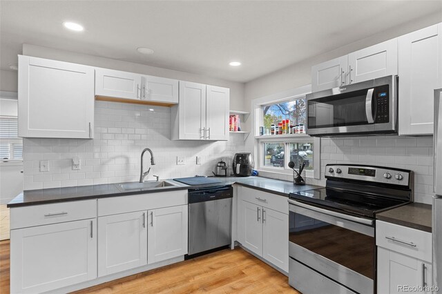 629 S Howes St, Fort Collins, CO 80521 - photo 24