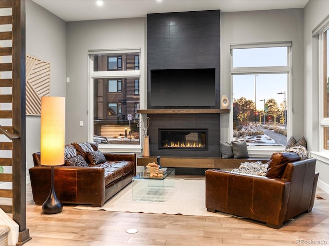 living room featuring a large fireplace and light hardwood / wood-style floors