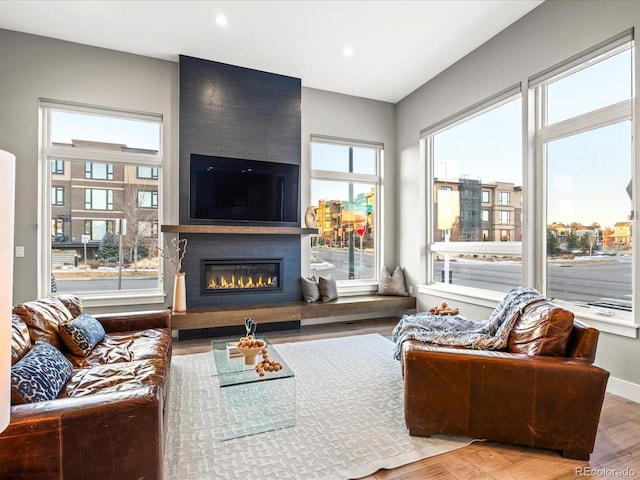 living room with light hardwood / wood-style floors and a large fireplace