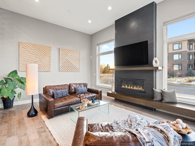 living room featuring a fireplace and light hardwood / wood-style floors