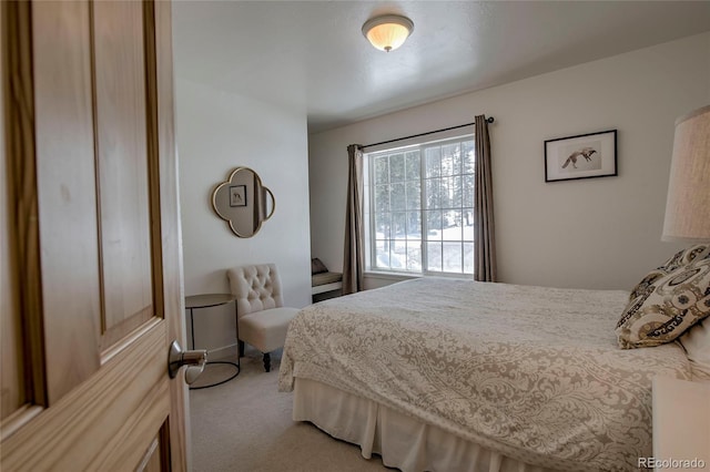 532 Kimmes Ln, Breckenridge, CO 80424 - photo 29
