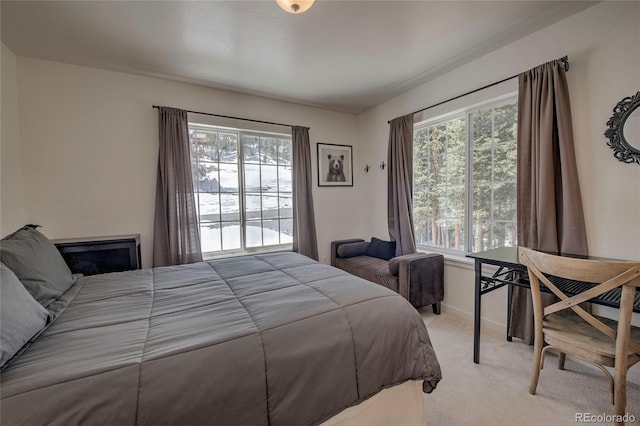 532 Kimmes Ln, Breckenridge, CO 80424 - photo 32