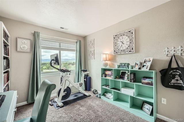 10872 W Evans Ave Unit 3D, Lakewood, CO 80227 - exercise room with carpet flooring and baseboards
