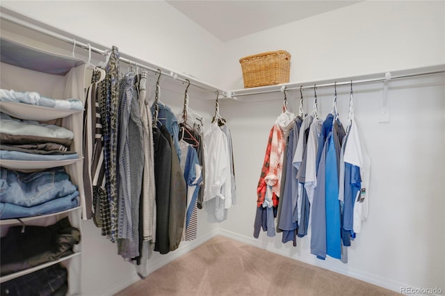 walk in closet with carpet flooring