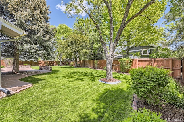 6338 S Oneida Ct, Centennial, CO 80111 - view of yard featuring a patio