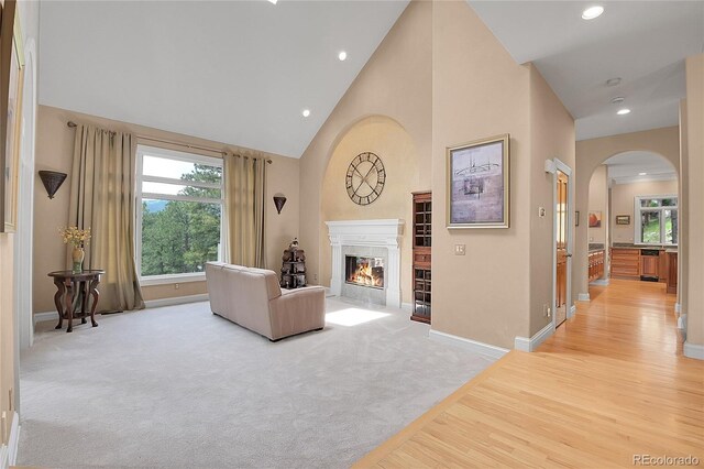 29433 Firethorne Ct, Evergreen, CO 80439 - living area featuring arched walkways, high vaulted ceiling, recessed lighting, baseboards, and a premium fireplace