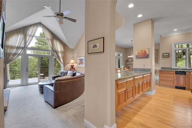 29433 Firethorne Ct, Evergreen, CO 80439 - living area featuring ceiling fan, baseboards, recessed lighting, light wood-style flooring, and high vaulted ceiling