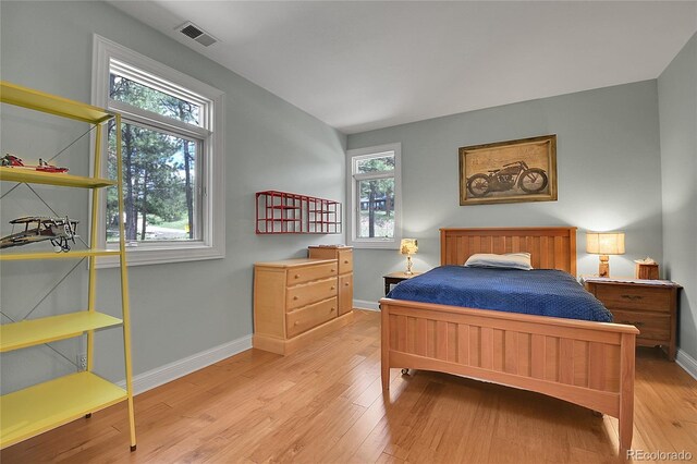 29433 Firethorne Ct, Evergreen, CO 80439 - bedroom with light wood-type flooring, multiple windows, and baseboards