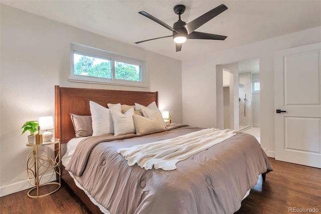 2598 Teller St, Lakewood, CO 80214 - bedroom with wood finished floors, a ceiling fan, and baseboards