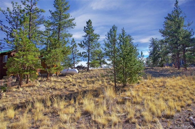 view of landscape