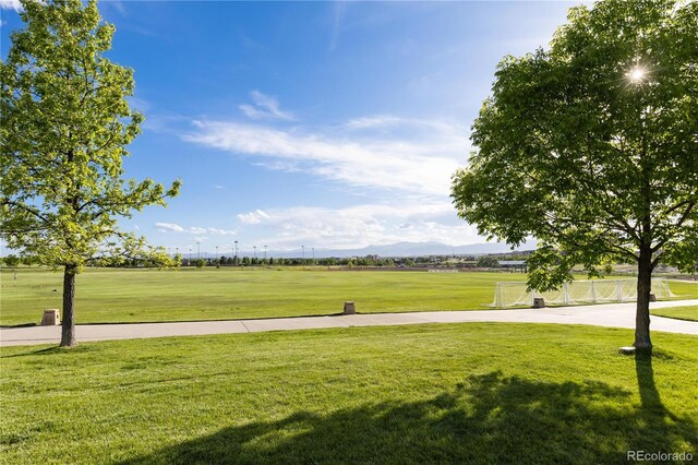 5831 W 108th Pl, Westminster, CO 80020 - photo 34