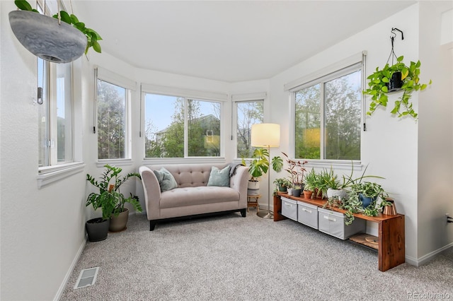 1540 Meachum Way, Erie, CO 80516 - sunroom / solarium featuring plenty of natural light, carpet floors, and baseboards