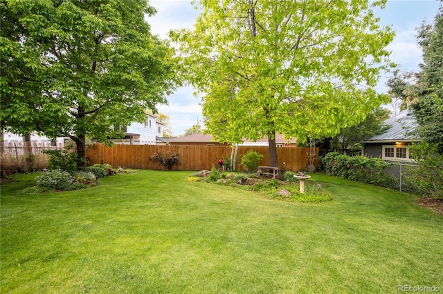 3317 Harlan St, Wheat Ridge, CO 80033 - view of yard