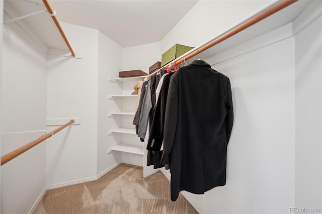 walk in closet featuring light colored carpet