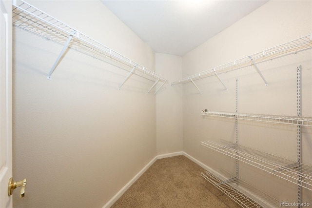12233 W Cross Dr Unit 307, Littleton, CO 80127 - photo 18