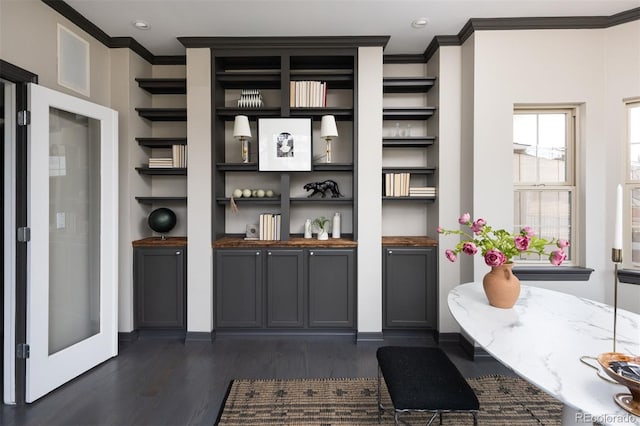 bar featuring crown molding and dark wood-style flooring