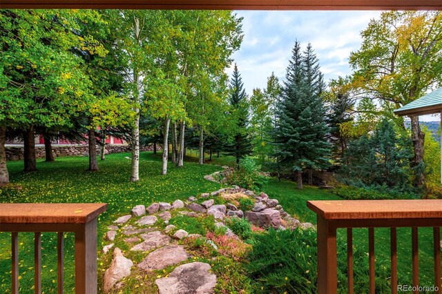 983 Beard Creek Rd, Edwards, CO 81632 - view of green lawn
