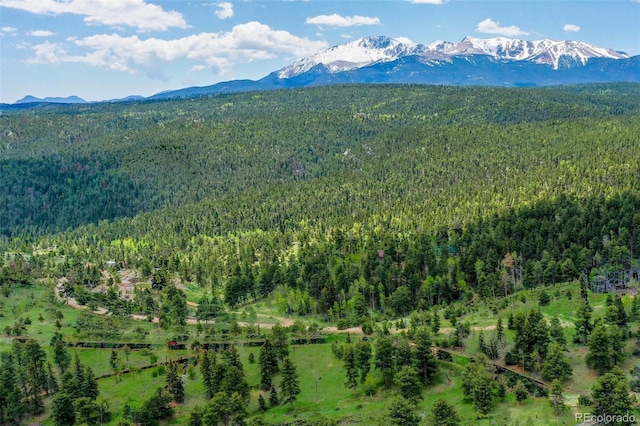 221 Columbine Pl, Woodland Park, CO 80863 - mountain view featuring a heavily wooded area