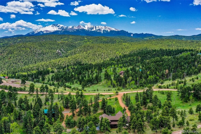 221 Columbine Pl, Woodland Park, CO 80863 - bird's eye view of a heavily wooded area and a mountain backdrop