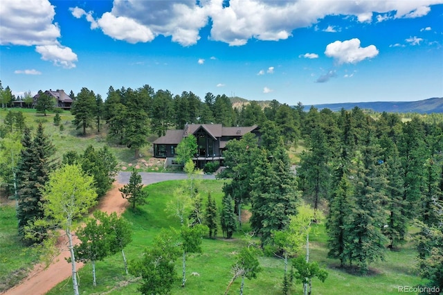 221 Columbine Pl, Woodland Park, CO 80863 - view of subject property with a heavily wooded area