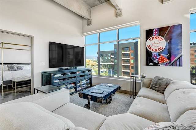 living room featuring a high ceiling