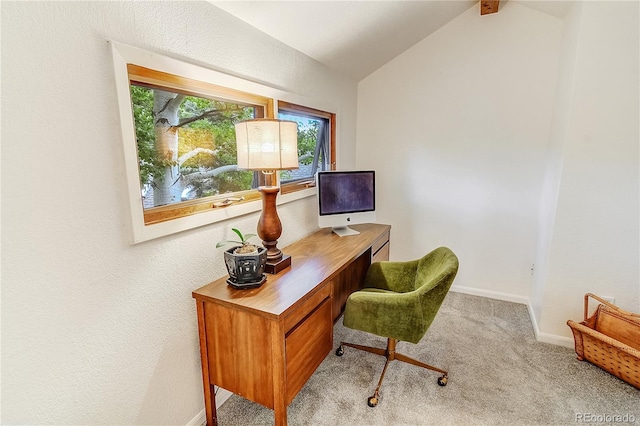 1927 Sunset Cir, Evergreen, CO 80439 - photo 30