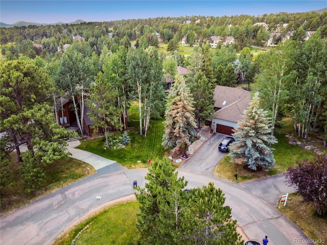 1927 Sunset Cir, Evergreen, CO 80439 - photo 42