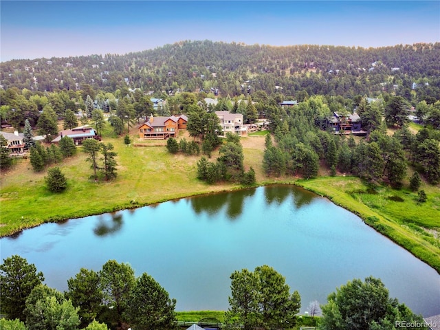 1927 Sunset Cir, Evergreen, CO 80439 - photo 43