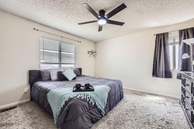 4912 Altura St, Denver, CO 80239 - photo 12