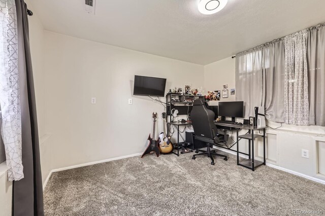 4912 Altura St, Denver, CO 80239 - photo 15
