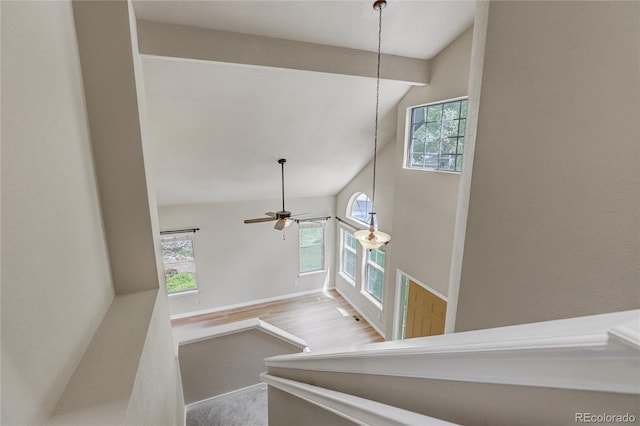 6735 W 97th Cir, Westminster, CO 80021 - stairs with baseboards, ceiling fan, and high vaulted ceiling
