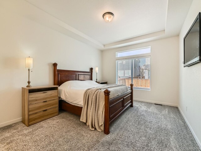 bedroom with carpet flooring and a raised ceiling