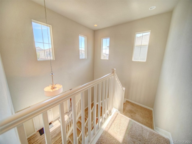 staircase with carpet floors