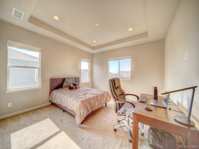 carpeted bedroom with a tray ceiling