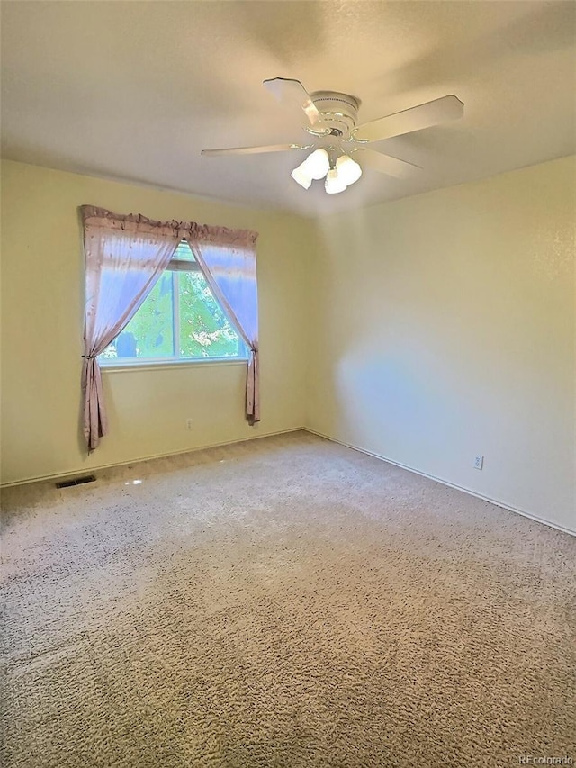 10553 Adams St, Northglenn, CO 80233 - photo 11