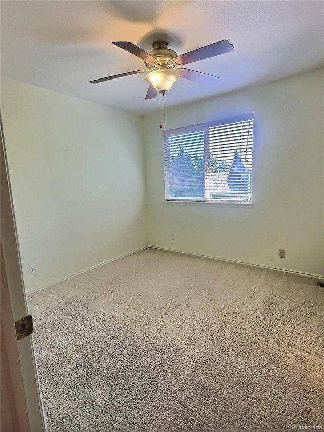 10553 Adams St, Northglenn, CO 80233 - photo 12