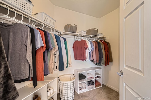 spacious closet with carpet